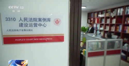 人民法院案例庫入庫參考案例選編（附案例庫使用指南）——以“網上購物系統”糾紛為例